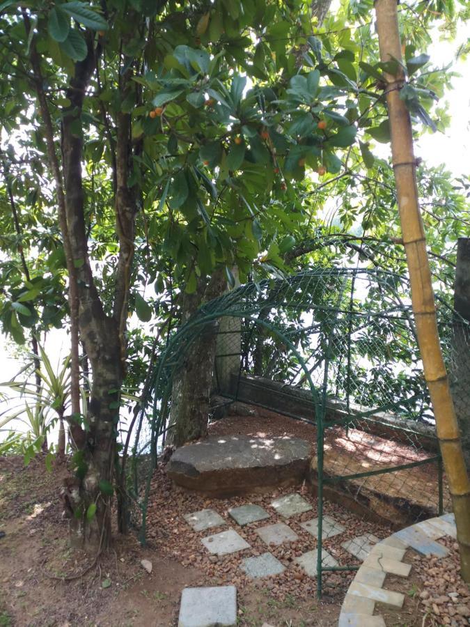 Villa Birdlake Hikkaduwa Exterior foto