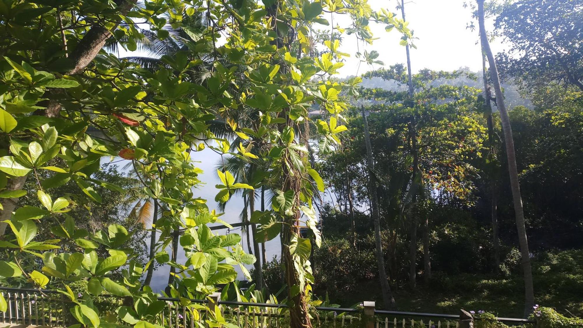 Villa Birdlake Hikkaduwa Exterior foto